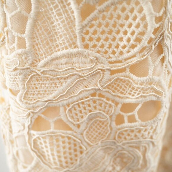 Dress the Population  Avianna Rose Lace Dress | Cream | XS | NWT - Picture 14 of 15